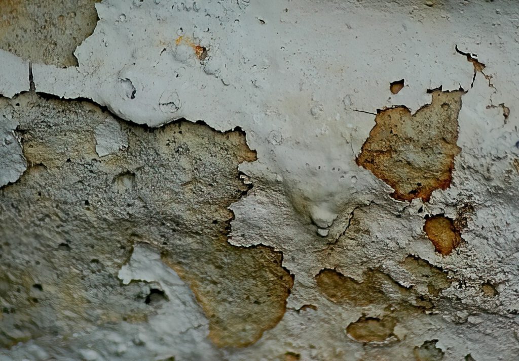 Bauschaden, Bauschadenbewertung, Bauschäden in der Immobilienbewertung